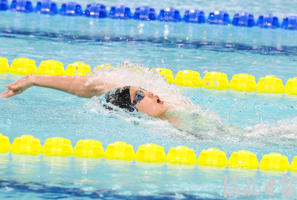 W020251206692738166668.jpeg W020251206692738166668.jpeg