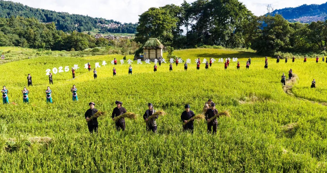 360截图20251003163558831.jpg 360截图20251003163558831.jpg