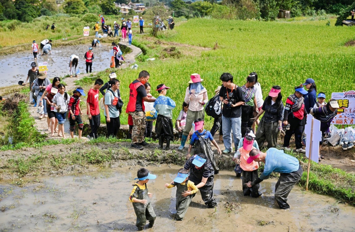 360截图20251003163619442.jpg 360截图20251003163619442.jpg