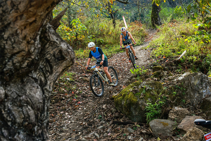 W020251110476866386008.jpg W020251110476866386008.jpg