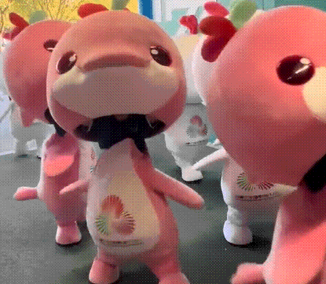 武校小孩.gif 武校小孩.gif