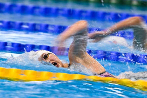 微信截图_20230726084222.png 微信截图_20230726084222.png