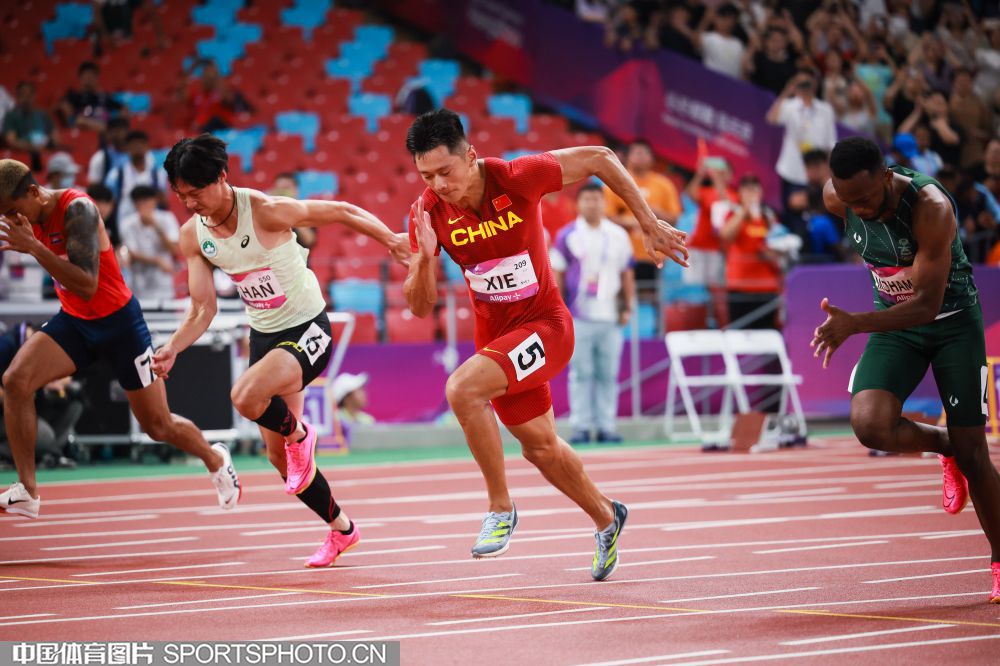 W_55591613_23092922_l.jpeg W_55591613_23092922_l.jpeg