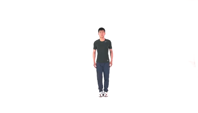 31.gif