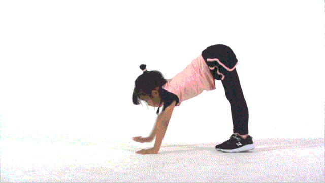 41.gif