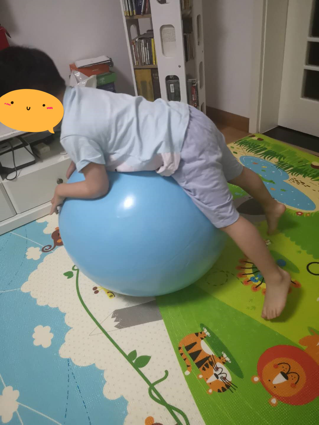 010.jpg